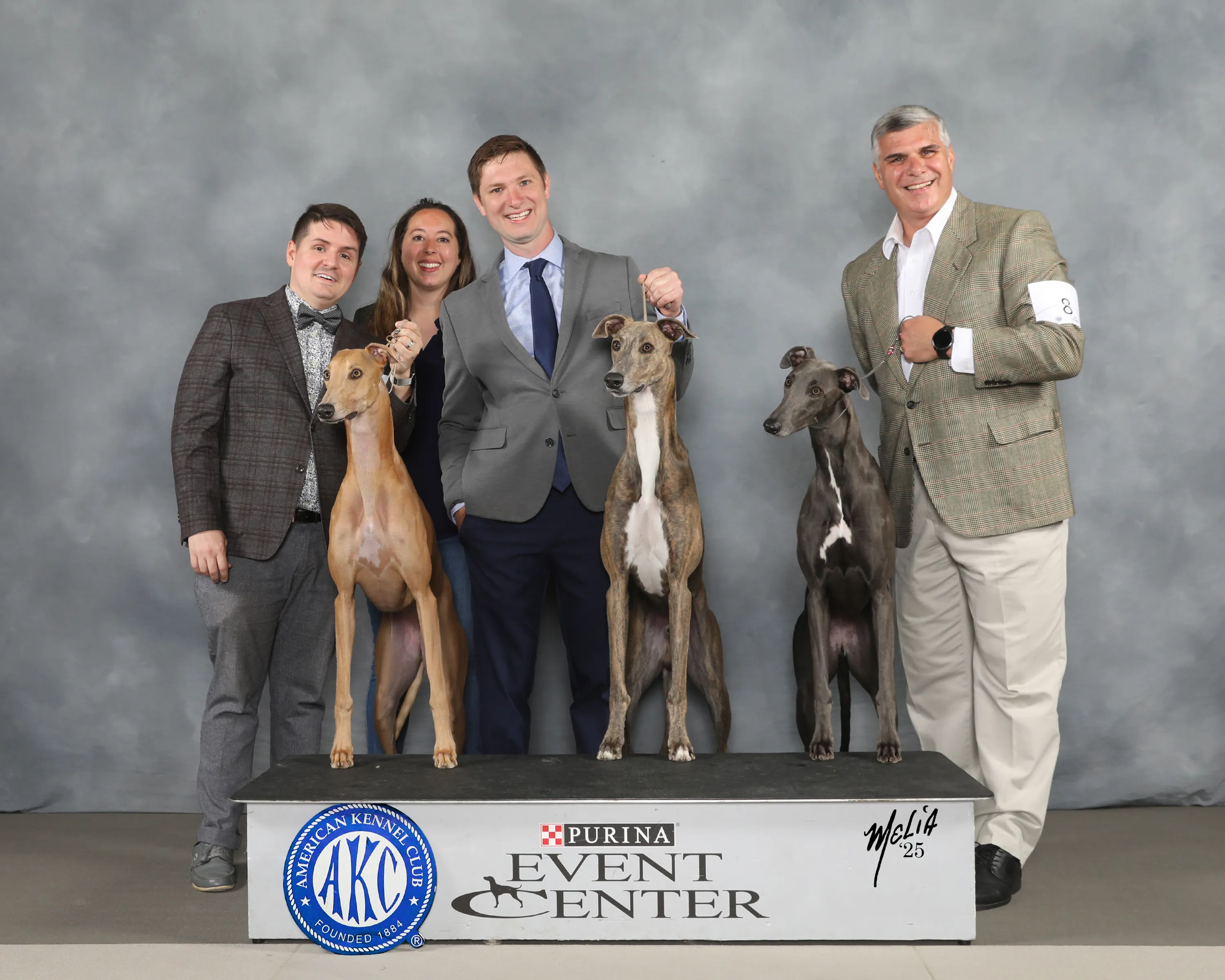 Velocitas Greyhounds